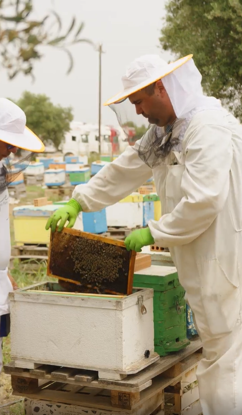 BEE FOR PLANET: πρόγραμμα «Donate a Queen», για την Παγκόσμια Ημέρα της Μέλισσας