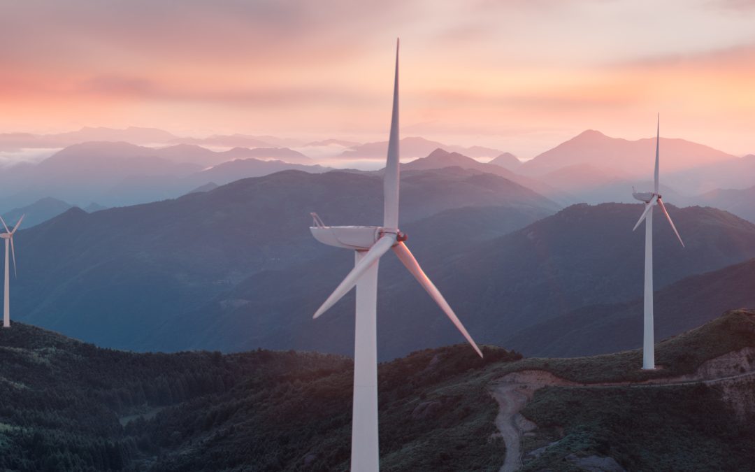 Schneider Electric: 3 Ways to Prepare Your Company for a Deeply Decarbonized Recovery